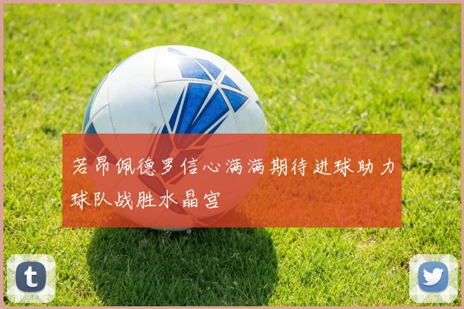 若昂佩德罗信心满满期待进球助力球队战胜水晶宫